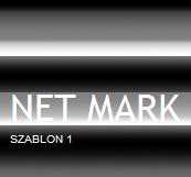 Szablon 1